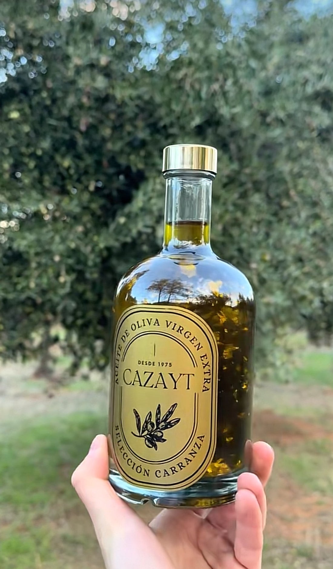 Aceite de Oliva con Oro Comestible 24K: La Revolución Gourmet que Transforma la Alta Cocina